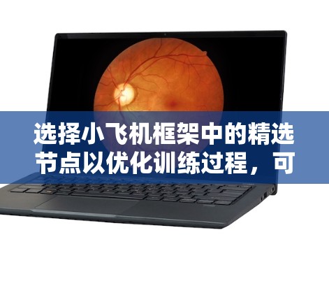 选择小飞机框架中的精选节点以优化训练过程，可以通过以下步骤进行