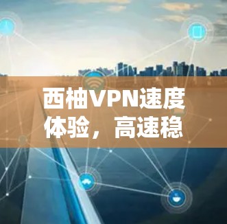 西柚VPN速度体验，高速稳定网络的选择