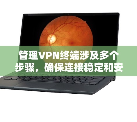 管理VPN终端涉及多个步骤，确保连接稳定和安全。以下是详细的分步指南