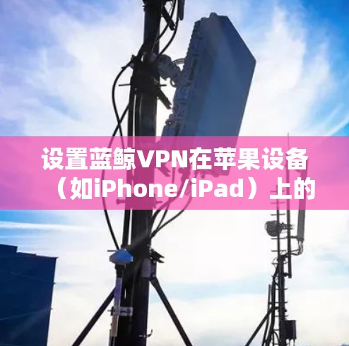 设置蓝鲸VPN在苹果设备（如iPhone/iPad）上的步骤如下