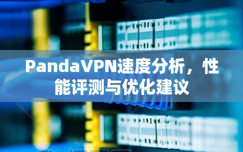 PandaVPN速度分析，性能评测与优化建议