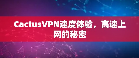 CactusVPN速度体验，高速上网的秘密