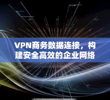 VPN商务数据连接，构建安全高效的企业网络