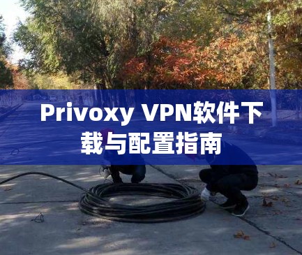 Privoxy VPN软件下载与配置指南