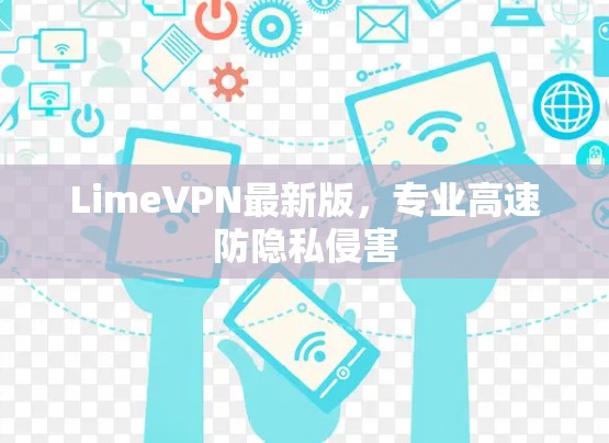 LimeVPN最新版，专业高速防隐私侵害