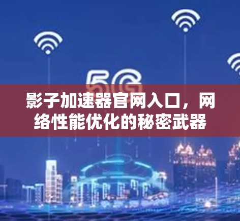 影子加速器官网入口，网络性能优化的秘密武器