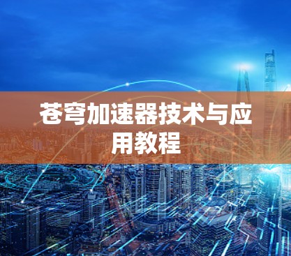 苍穹加速器技术与应用教程