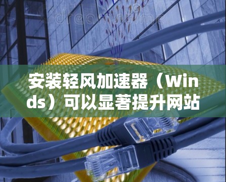 安装轻风加速器（Winds）可以显著提升网站的加载速度。以下是分步骤的安装指南
