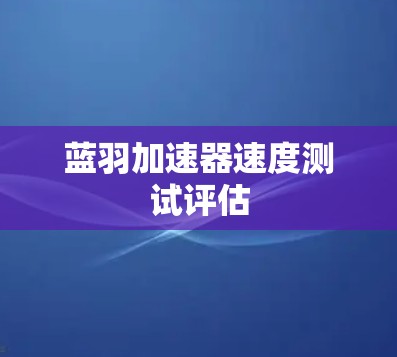 蓝羽加速器速度测试评估