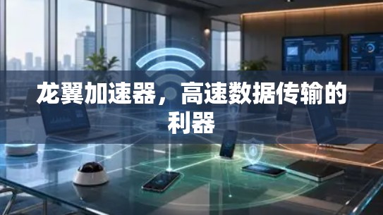 龙翼加速器，高速数据传输的利器
