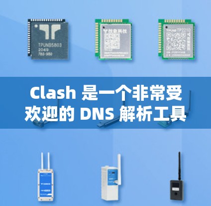 Clash 是一个非常受欢迎的 DNS 解析工具，适用于开发者和团队管理多个域名的 DNS 记录。以下是 Clash 的安装方法