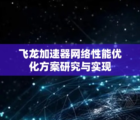 飞龙加速器网络性能优化方案研究与实现