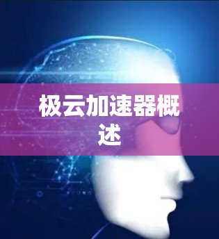 极云加速器概述