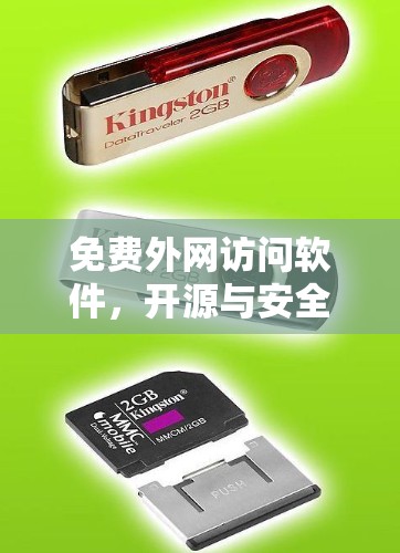 免费外网访问软件，开源与安全的平衡