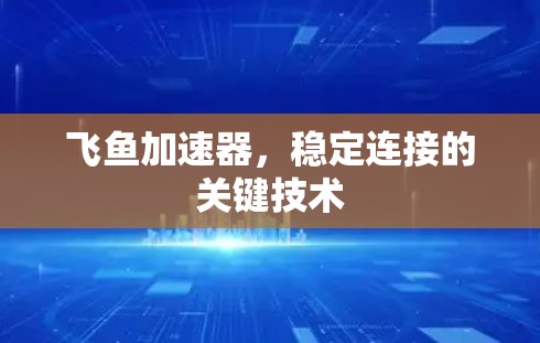 飞鱼加速器，稳定连接的关键技术