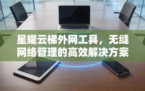 星耀云梯外网工具，无缝网络管理的高效解决方案