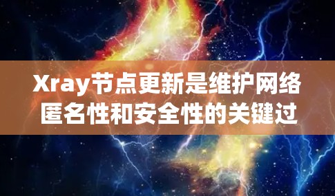 Xray节点更新是维护网络匿名性和安全性的关键过程。以下是对该过程的详细分步解释