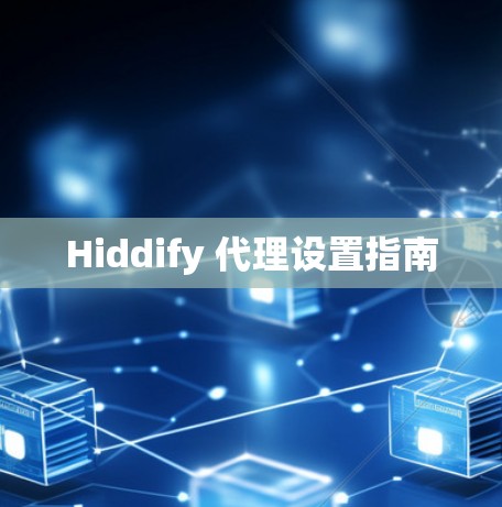 Hiddify 代理设置指南
