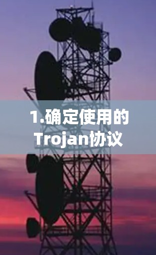 1.确定使用的Trojan协议