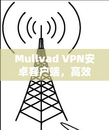 Mullvad VPN安卓客户端，高效隐私保护与安全连接