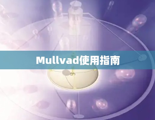 Mullvad使用指南 Mullvad使用指南