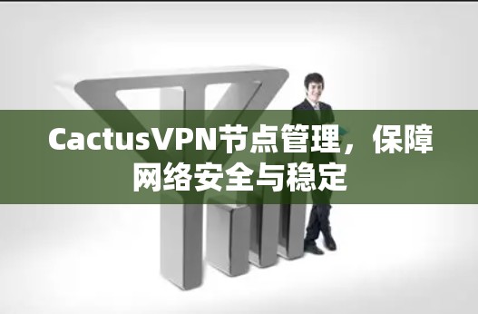 CactusVPN节点管理,保障网络安全与稳定 CactusVPN节点管理,保障网络安全与稳定