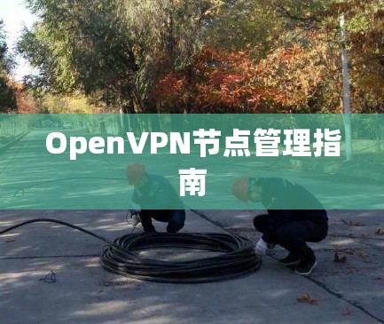 OpenVPN节点管理指南 OpenVPN节点管理指南