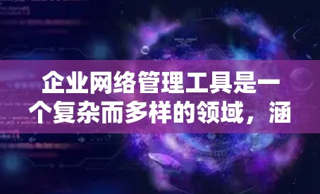 企业网络管理工具是一个复杂而多样的领域,涵盖了从监控到安全、流量管理到用户管理等多个方面。以下是对这些工具的分类和描述,帮助企业根据需求选择合适的解决方案 企业网络管理工具是一个复杂而多样的领域,涵盖了从监控到安全、流量管理到用户管理等多个方面。以下是对这些工具的分类和描述,帮助企业根据需求选择合适的解决方案