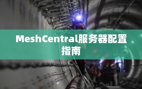 MeshCentral服务器配置指南 MeshCentral服务器配置指南