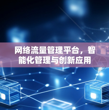 网络流量管理平台,智能化管理与创新应用 网络流量管理平台,智能化管理与创新应用