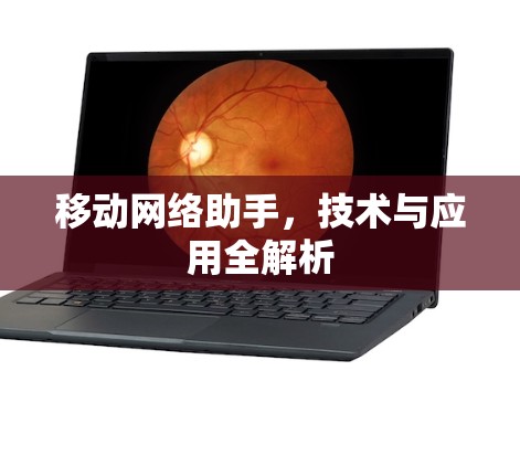 移动网络助手，技术与应用全解析
