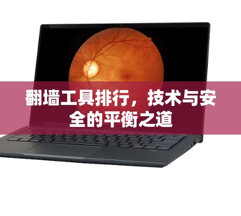 翻墙工具排行,技术与安全的平衡之道 翻墙工具排行,技术与安全的平衡之道