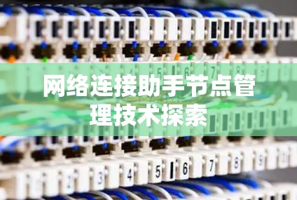 网络连接助手节点管理技术探索