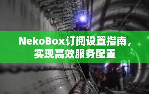 NekoBox订阅设置指南,实现高效服务配置 NekoBox订阅设置指南,实现高效服务配置