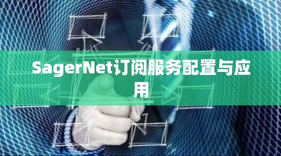 SagerNet订阅服务配置与应用
